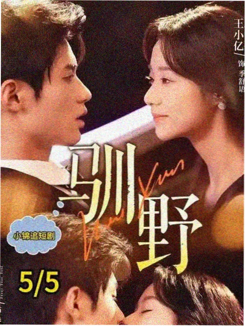 编号006 连栋温室骨架的檩条排布与卷膜器安装位置