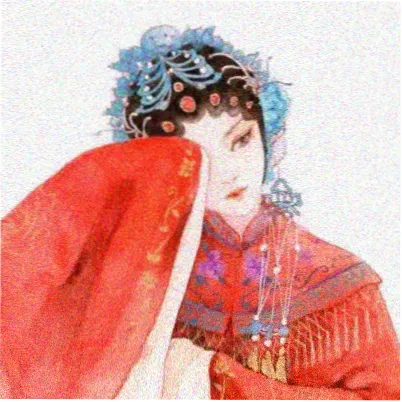 棚友“连栋观察员”的头像